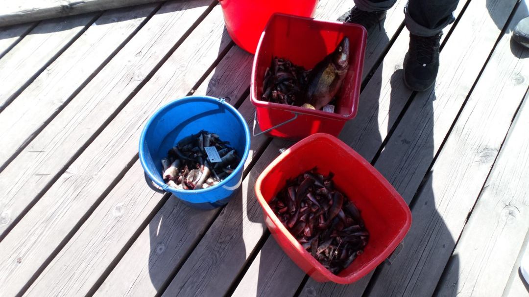 33128416_1811609119135234_4743760218444267520_o